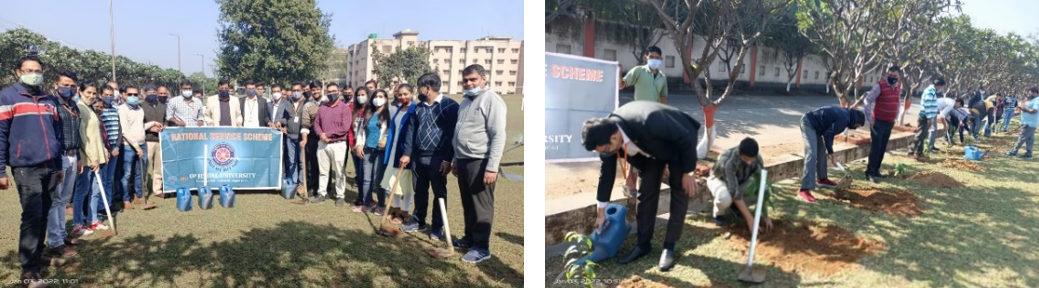Plantation Drive