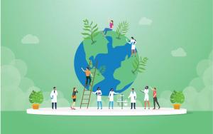 B.Sc. (Environmental Science and Sustainability)